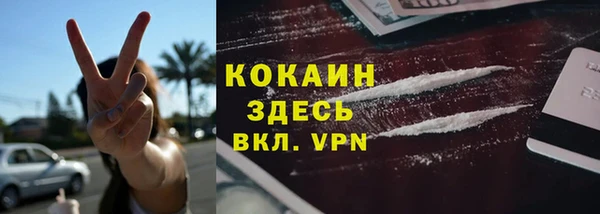 твердый Алзамай
