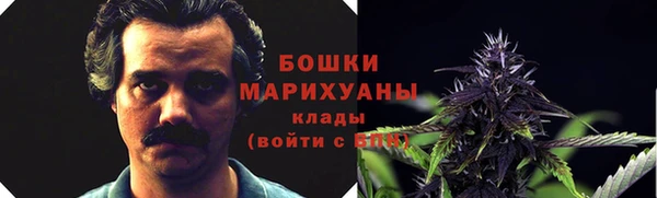 твердый Алзамай