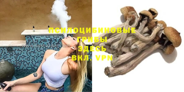 spice Алексин